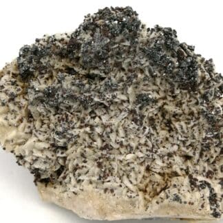 Tétraédrite, blende sur dolomite, Le Loiras, Hérault.