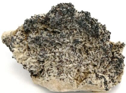 Tétraédrite, blende sur dolomite, Le Loiras, Hérault.