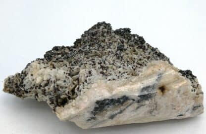 Tétraédrite, blende sur dolomite, Le Loiras, Hérault.