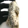 Tétraédrite, blende sur dolomite, Le Loiras, Hérault.