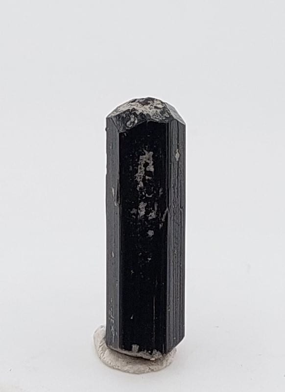 Tourmaline (var. Schorl), Beni Bouzra, Maroc.