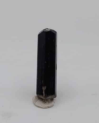 Tourmaline (var. Schorl), Beni Bouzra, Maroc.