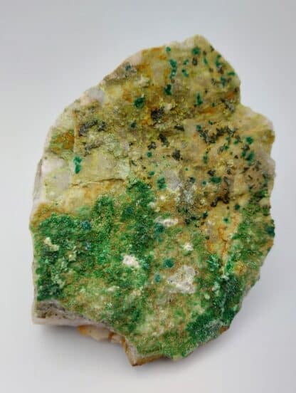 Bayldonite, Conichalcite et Olivenite, Cap Garonne, Var.