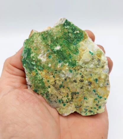 Bayldonite, Conichalcite et Olivenite, Cap Garonne, Var.