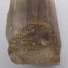 Meionite, Itrongay, Madagascar.
