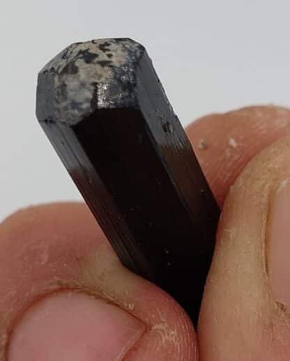 Tourmaline (var. Schorl), Beni Bouzra, Maroc.