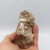 Aragonite, Les Bondons, Lozère.