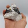 Wolframite, Montredon-Labessonié, Tarn.