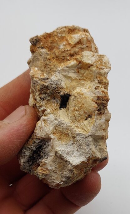 Achmite (Aegirine), Magnet Cove, Arkansas, USA. – Image 5