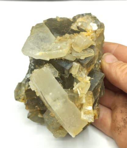 Fluorine (Fluorite) et Barytine (Baryte), Mine de l’Avellan, Var.