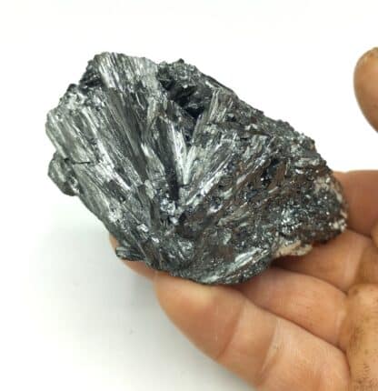 Pyrolusite (Polianite), Hartz (Harz), Allemagne. – Image 7