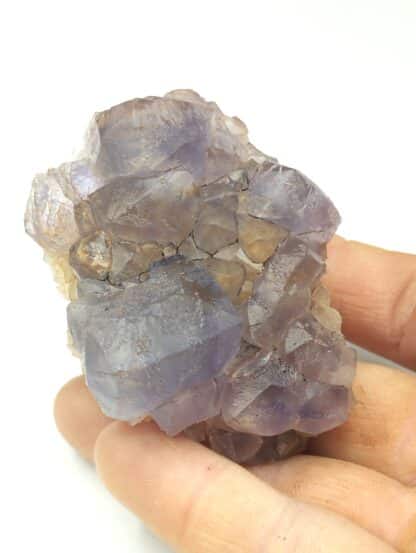 Fluorine (Fluorite), Caravia, Asturies, Espagne.