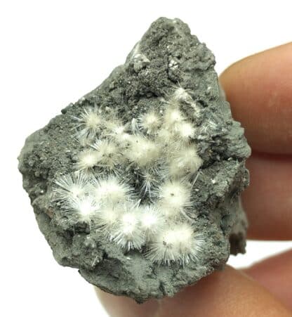 Picropharmacolite, Duranus, Alpes-Maritimes. – Image 2