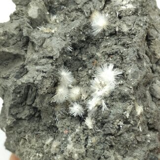 Picropharmacolite, Duranus, Alpes-Maritimes.