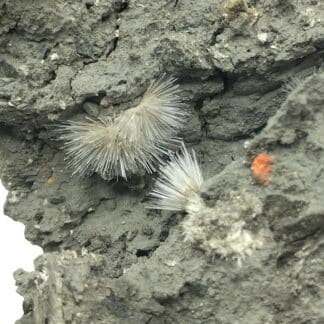 Picropharmacolite, Duranus, Alpes-Maritimes.