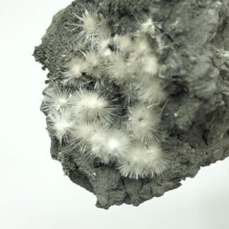 Picropharmacolite, Duranus, Alpes-Maritimes.