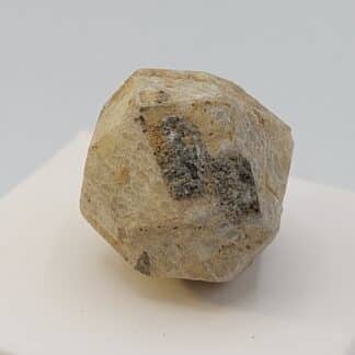 Leucite, Roccamonfina, Caserte, Campanie, Italie.