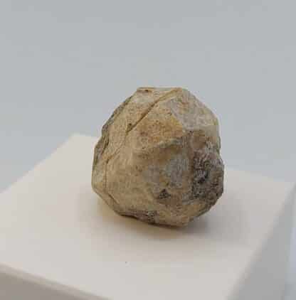 Leucite, Roccamonfina, Caserte, Campanie, Italie.