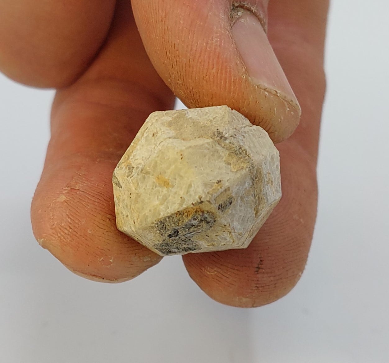 Leucite, Roccamonfina, Caserte, Campanie, Italie.