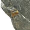 Pyrite, Fumay, Ardennes. – Image 2
