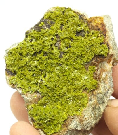 Pyromorphite, Vézis, Aveyron.