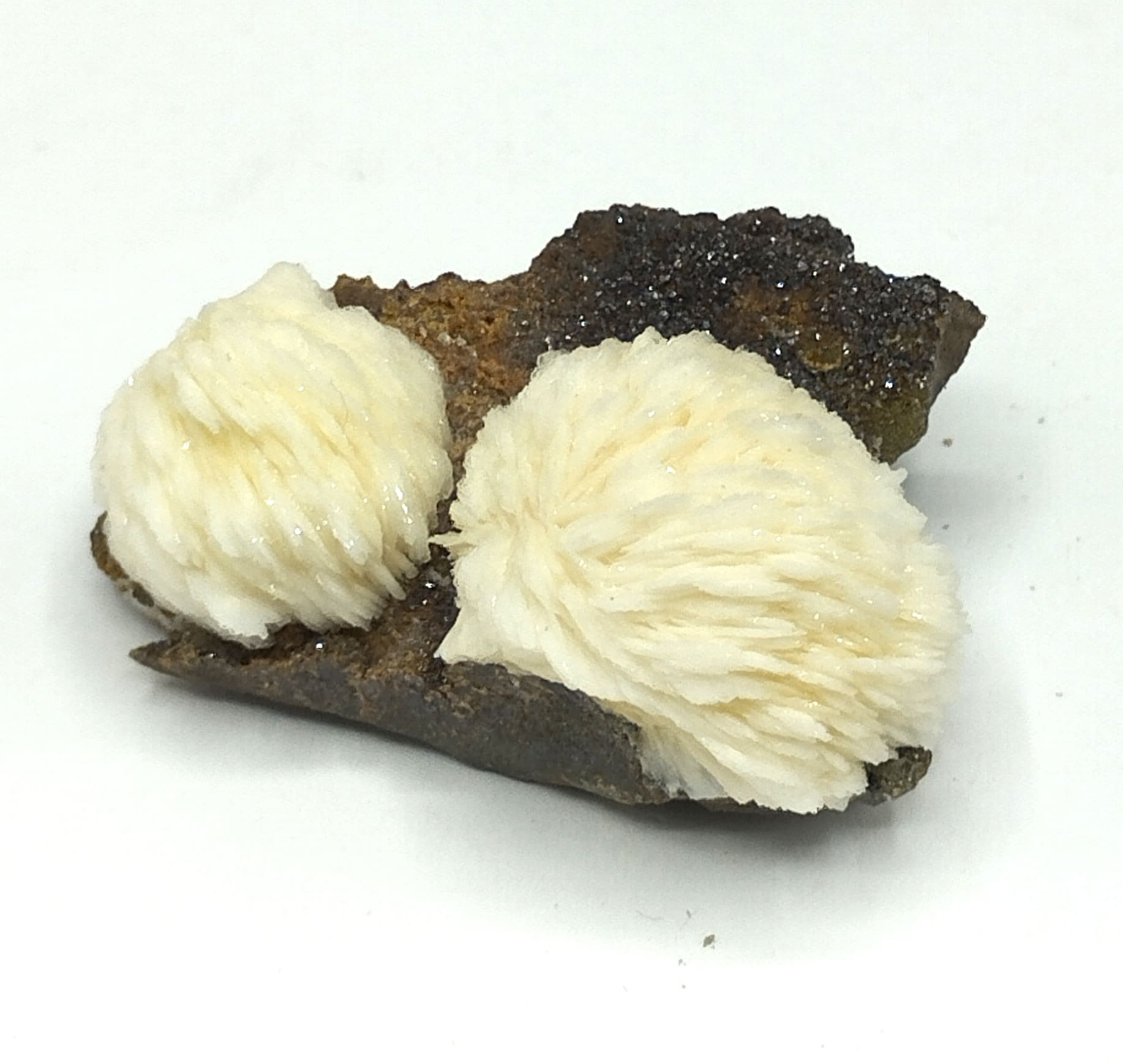 Baryte (Barytine) et Sphalérite, Saint Laurent le Minier, Gard.