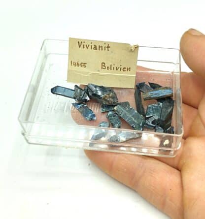 Vivianite, Bolivie.