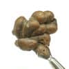 Aragonite, Karlsbad, Allemagne.
