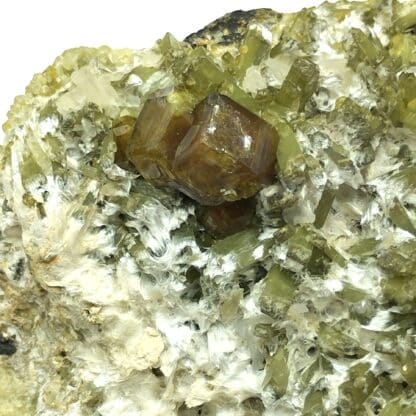 Grenat et Diopside, Dognoesket (Dognecea), Roumanie.