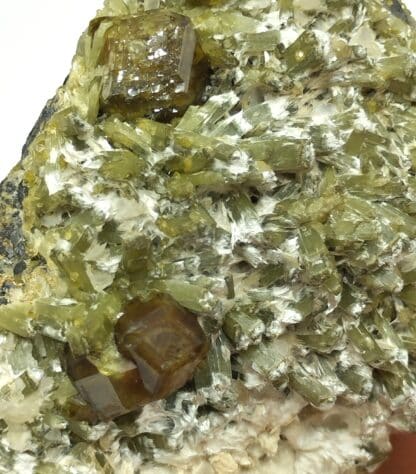 Grenat et Diopside, Dognoesket (Dognecea), Roumanie.