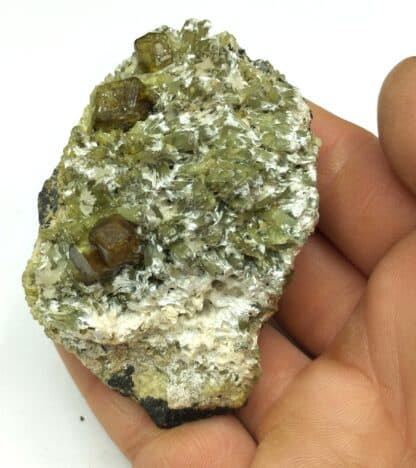 Grenat et Diopside, Dognoesket (Dognecea), Roumanie.