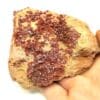 Vanadinite, Mibladen, Maroc.