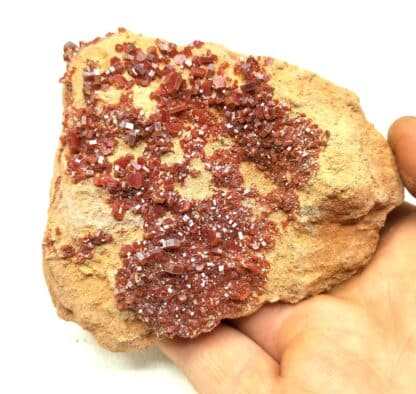 Vanadinite, Mibladen, Maroc.