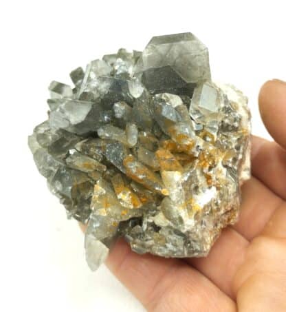 Baryte inclusions de Pyrite, Lompret, Chimay, Belgique.
