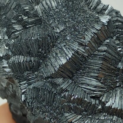 Hématite, Le Brézouard, Sainte-Marie-aux-Mines, Haut-Rhin. – Image 2