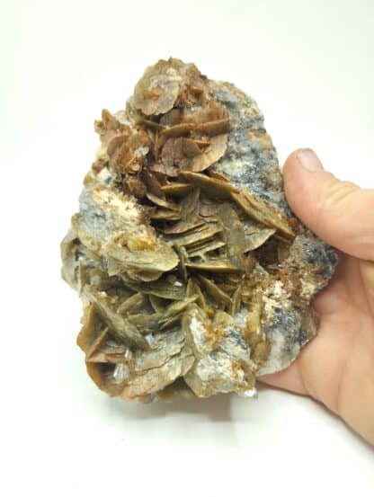 Sidérite et quartz, Mines de La Mure, Isère.