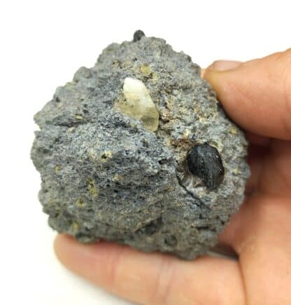 Labradorite et Barkevikite, Le Monastier-sur-Gazeille, Haute-Loire. – Image 8