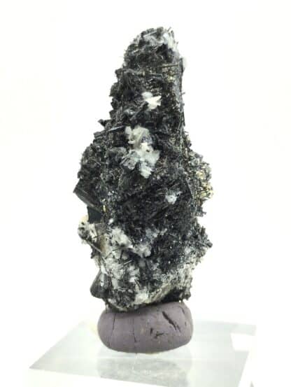 Tourmaline (Schorl) sur Quartz, Carrière Menou, Saint Salvy, Tarn.