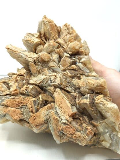 Baryte (Barytine), Maine, Saône-et-Loire.