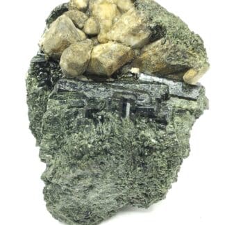 Diopside et Scapolite, Diana, Lewis, New-York, États-Unis (USA).