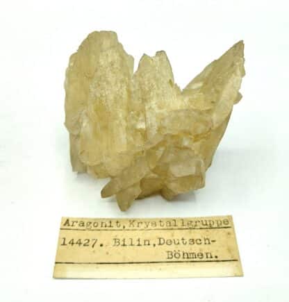 Aragonite, Bilin, Bohême, Allemagne.