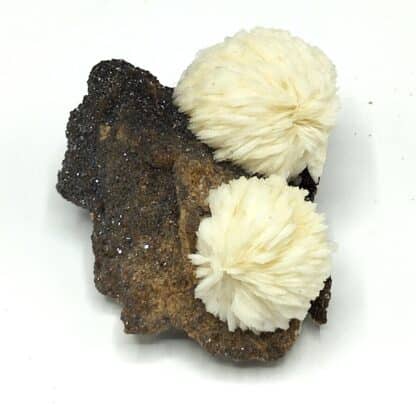 Baryte (Barytine) et Sphalérite, Saint Laurent le Minier, Gard.