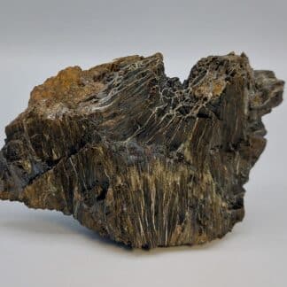 Ludwigite, Brosso, Piémont, Italie.