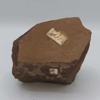 Sphärosiderite, Hanau, Allemagne.