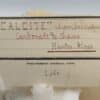 Un beau spécimen d’aragonite. Une première génération botyoïdale à l’aspect saccharoïde partiellement recouverte d’une seconde génération en aiguilles brillantes et parfaitement gemmes. Spécimen étiqueté « calcite » des Hautes-Alpes sans plus de précisions. Ex-Deyrolle avec boite et étiquette d’origine.