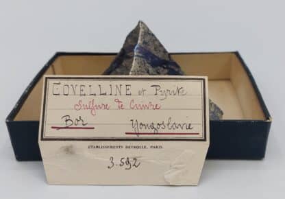 Covelline et Pyrite, Bor, Yougoslavie (Serbie).