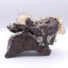 Calcite, Trèves, Gard.