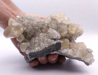 Calcite, Trèves, Gard.