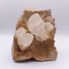 Calcite, Bédarieux, Hérault.