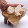 Calcite, Bédarieux, Hérault.